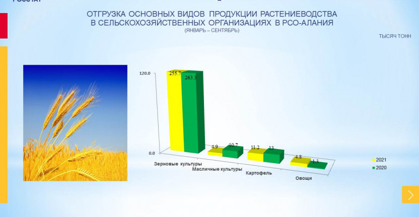 Отгрузка основных видов продукции растениеводства в РСО-Алания